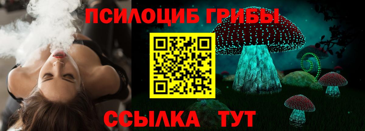 Южно-Сахалинск  Галлюциногенные грибы Cubensis  Вход с VPN 